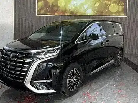 Denza D9, 2024