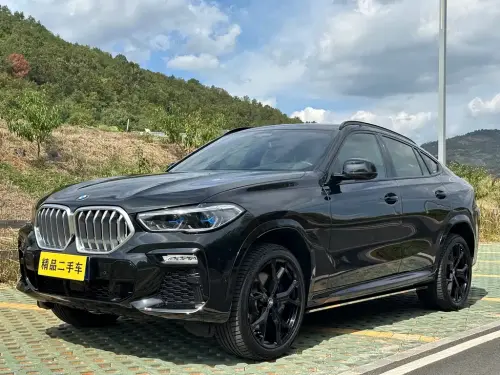 BMW X6, 2021