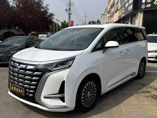 Denza D9, 2024