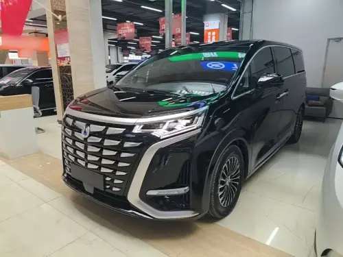 Denza D9, 2024
