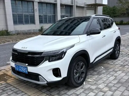Kia Seltos, 2024