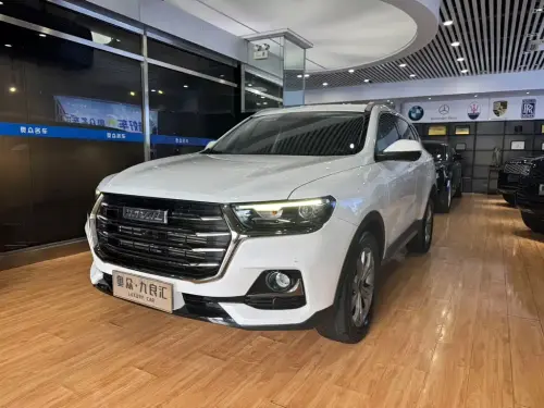 Haval H6, 2022