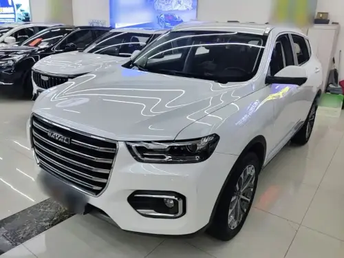Haval H6, 2020