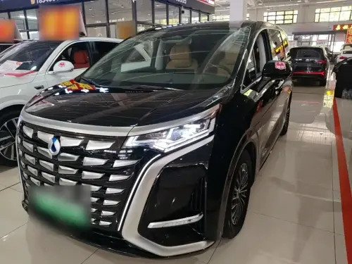 Denza D9, 2024