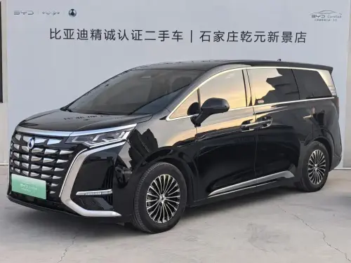 Denza D9, 2024