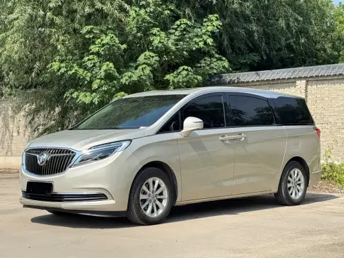 Buick GL8, 2020