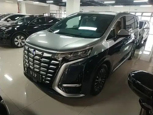 Denza D9, 2023