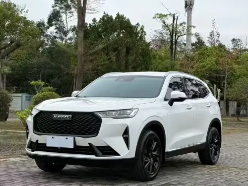 Haval H6, 2022