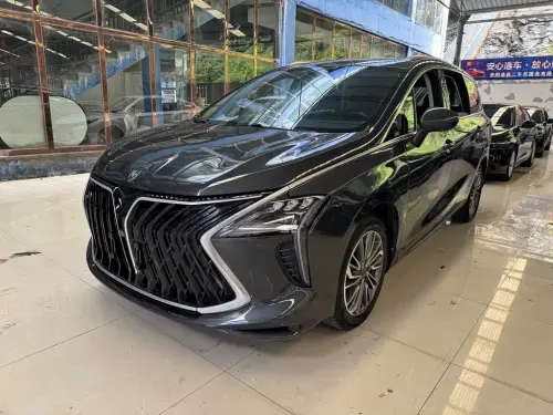 Dongfeng Youth, 2023