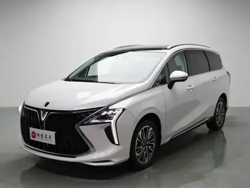 Dongfeng Youth, 2024