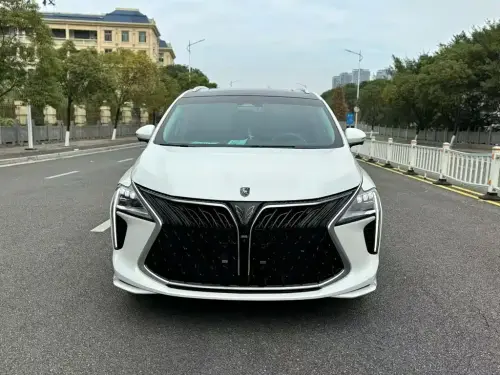 Dongfeng Youth, 2023