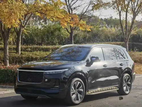 Li Auto ONE, 2021