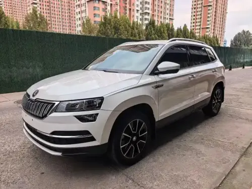 Skoda Karoq, 2021