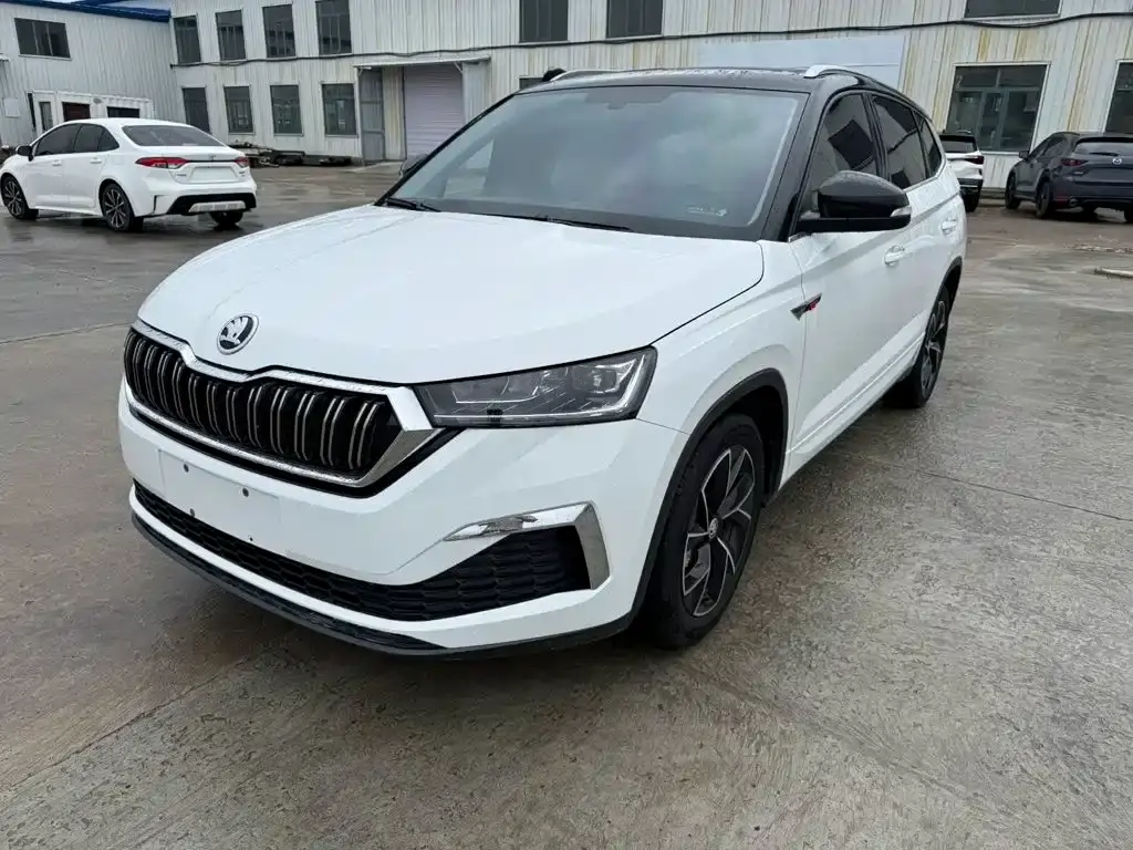 Skoda Kamiq, 2024