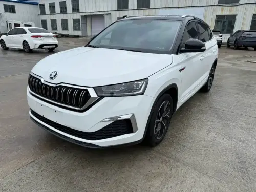Skoda Kamiq, 2024