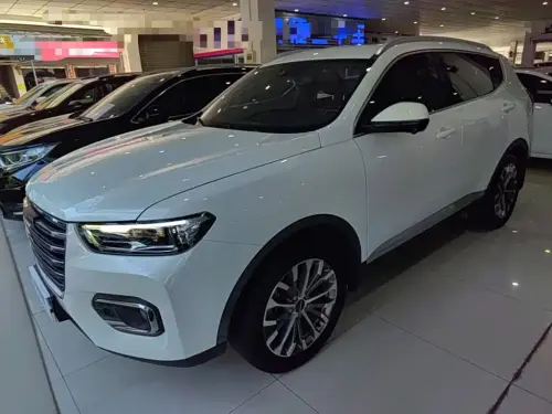 Haval H6, 2020
