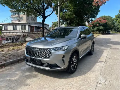 Haval H6, 2021