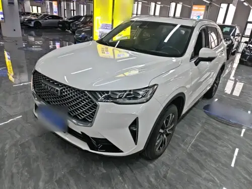 Haval H6, 2021