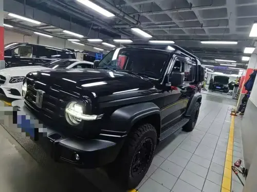 Tank 300, 2021