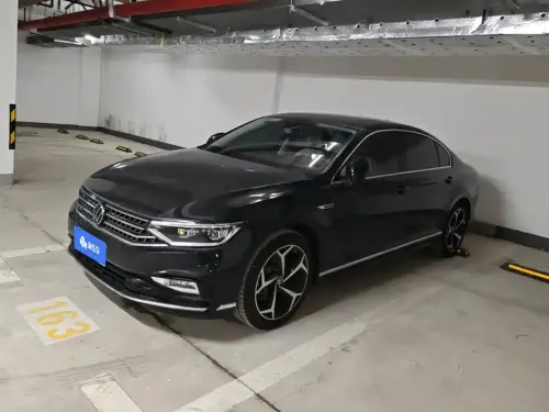 Volkswagen Magotan, 2024