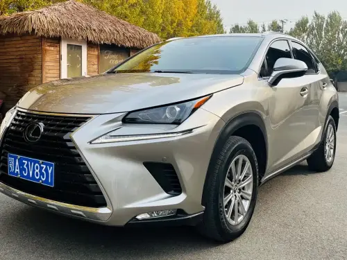 Lexus NX, 2022