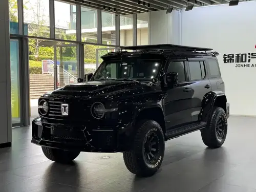 Tank 300, 2021