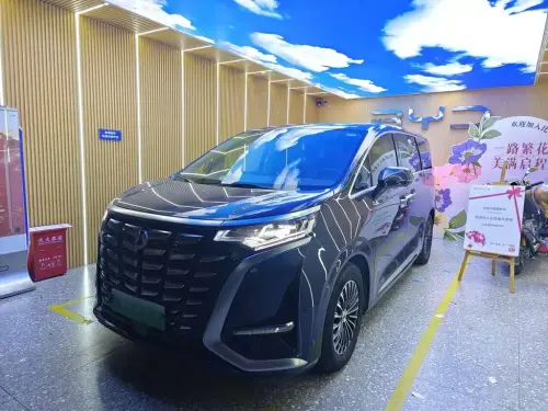 Denza D9, 2024