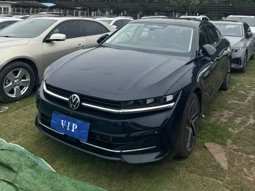 Volkswagen Magotan, 2024