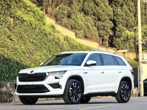 Skoda Kodiaq, 2022