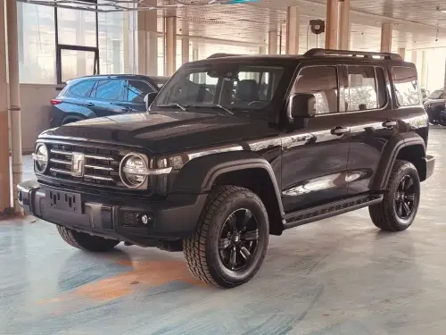 Tank 300, 2021