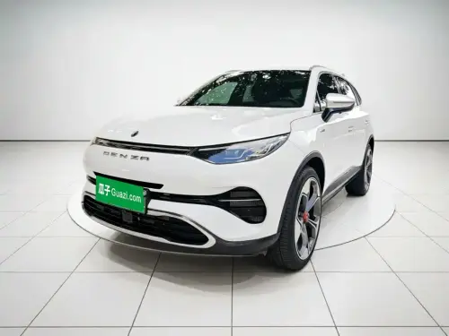 Denza X, 2020
