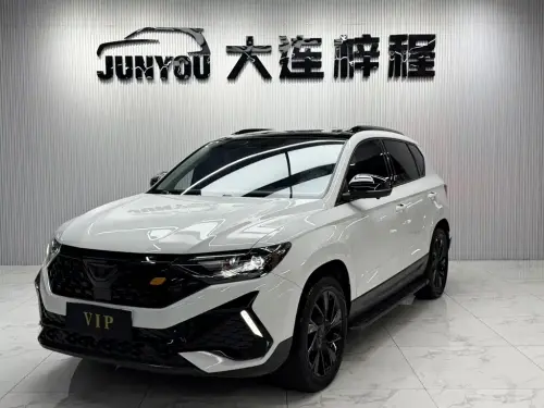 Jetta VS5, 2024