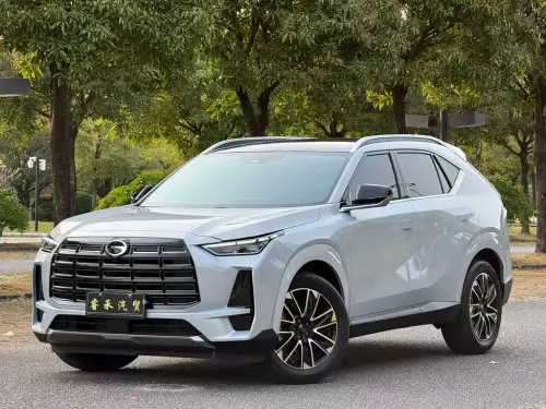 GAC GS4, 2025