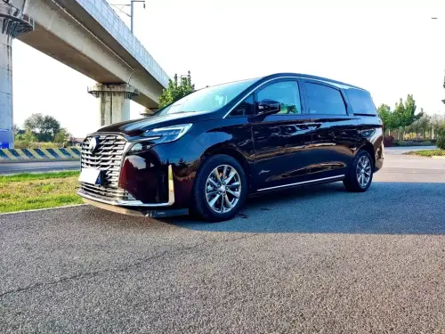 Buick GL8, 2022