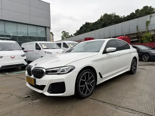 BMW 5-Series, 2020