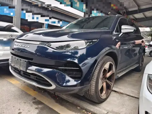 Denza X, 2021