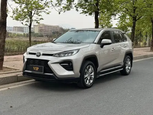 Toyota Wildlander, 2020