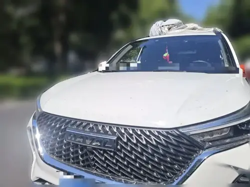 Haval M6, 2022