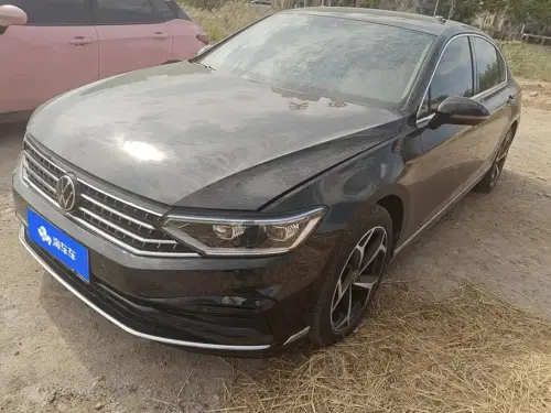 Volkswagen Magotan, 2025