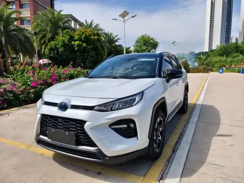 Toyota Wildlander, 2021