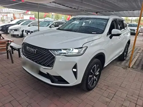 Haval H6, 2021