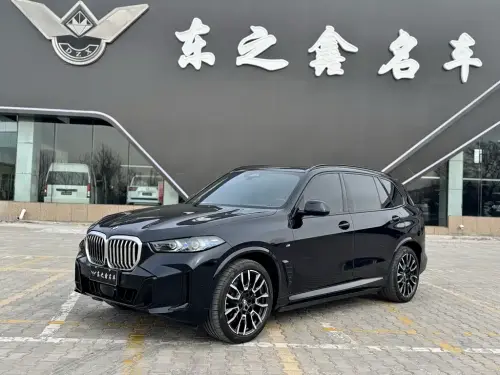 BMW X5, 2025