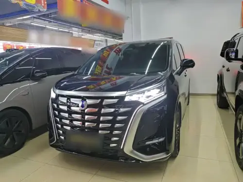 Denza D9, 2025