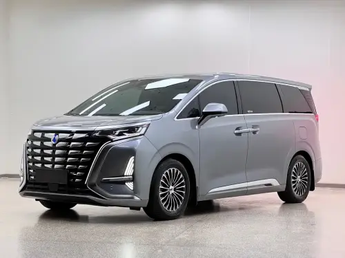 Denza D9, 2024