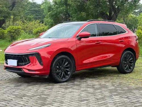 Dongfeng T5 EVO, 2022