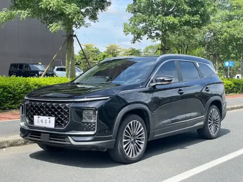 Jetour Shanhai L9, 2024