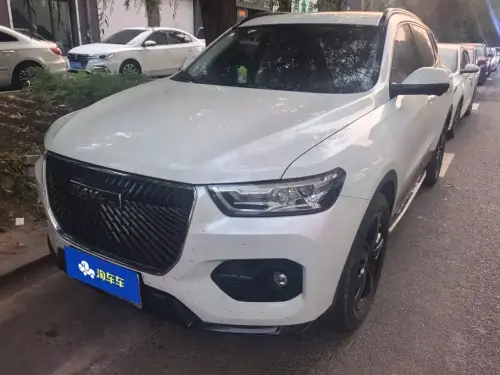 Haval H6, 2021