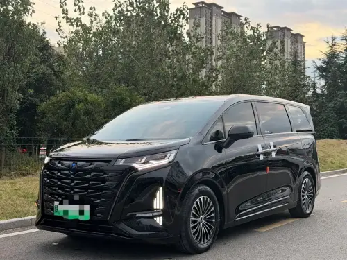 Denza D9, 2024