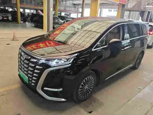 Denza D9, 2025