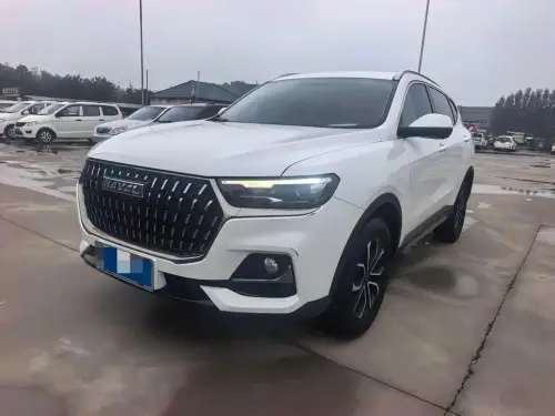 Haval H6, 2024